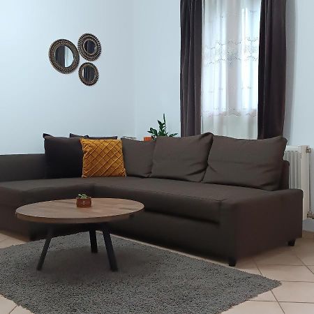 Apartamento Baou House 1 Metsovo Exterior foto