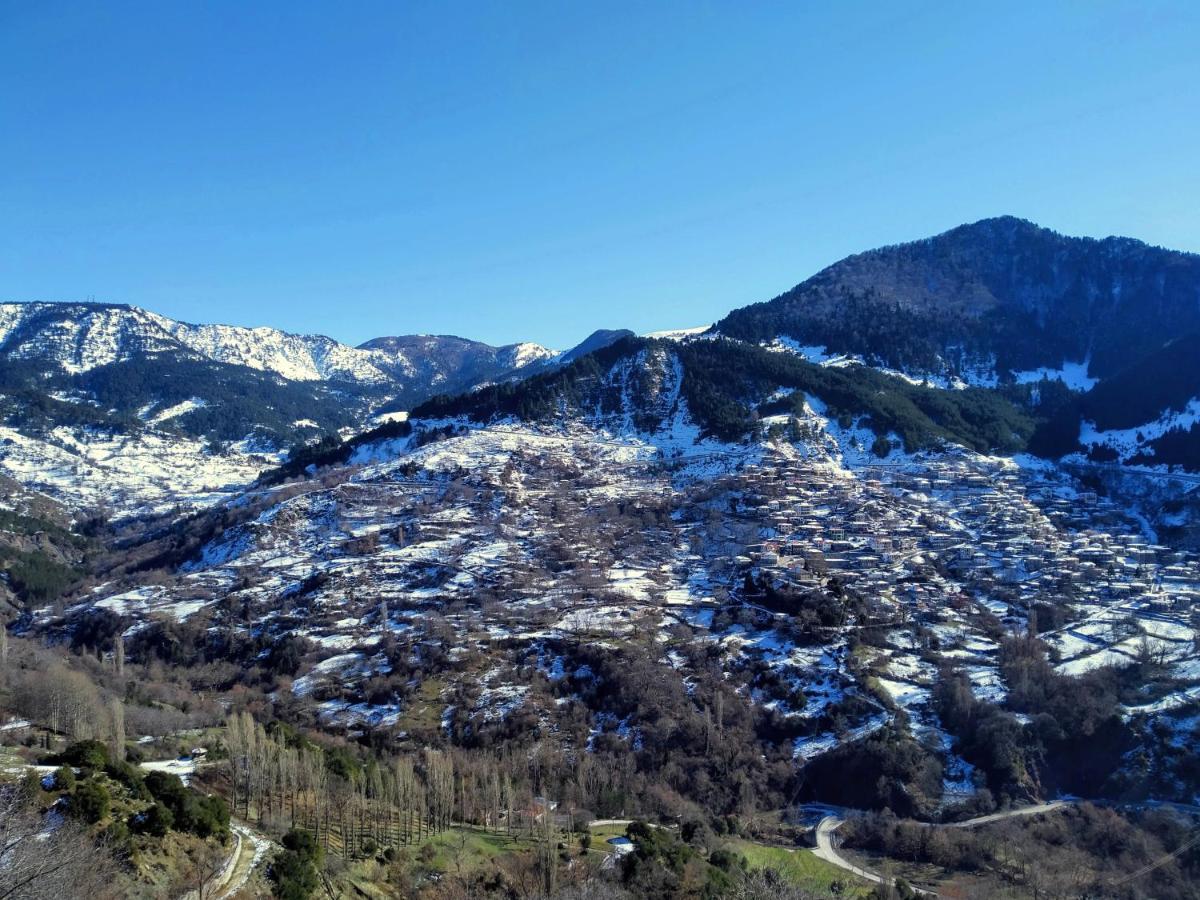 Apartamento Baou House 1 Metsovo Exterior foto