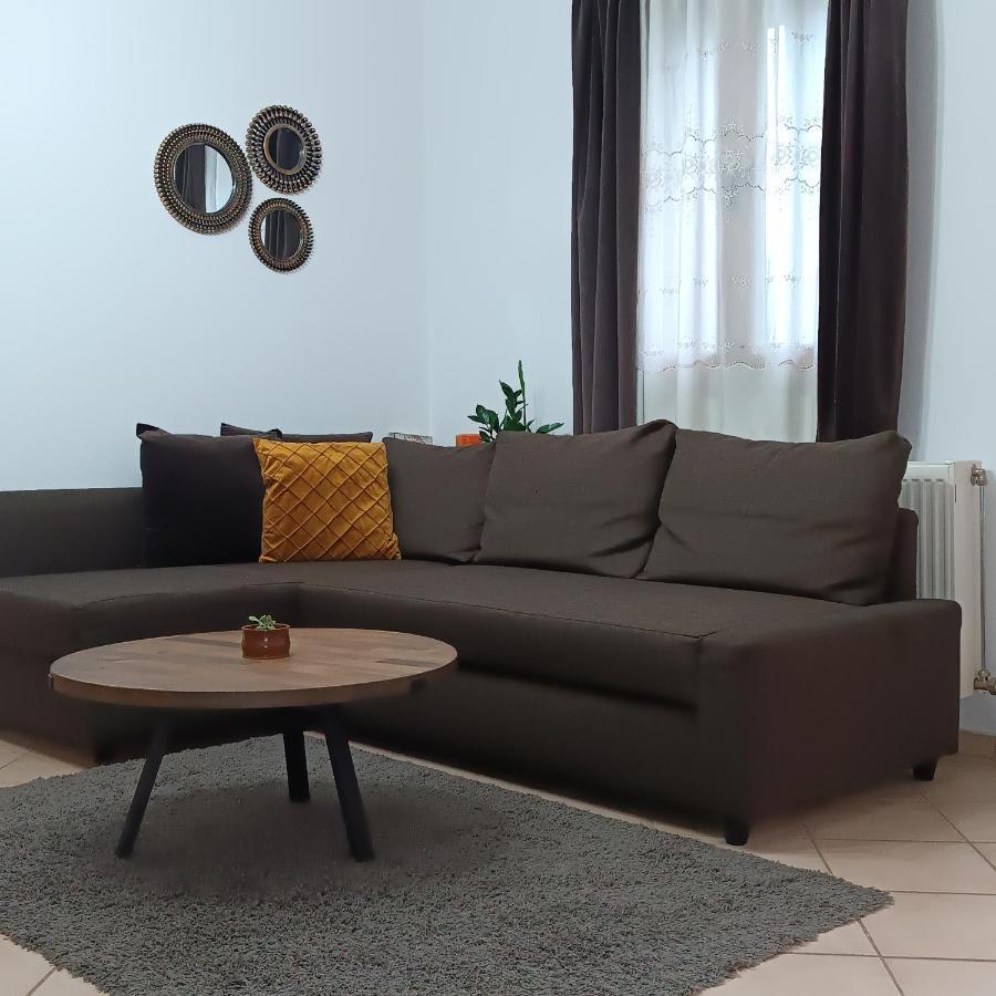 Apartamento Baou House 1 Metsovo Exterior foto
